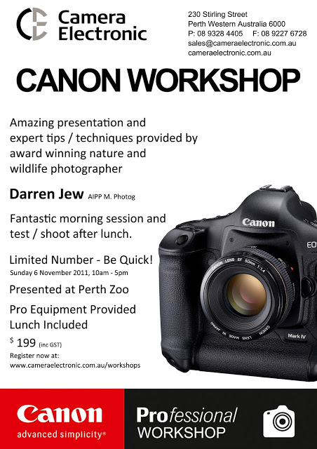 Canon-Workshop-2011.jpg
